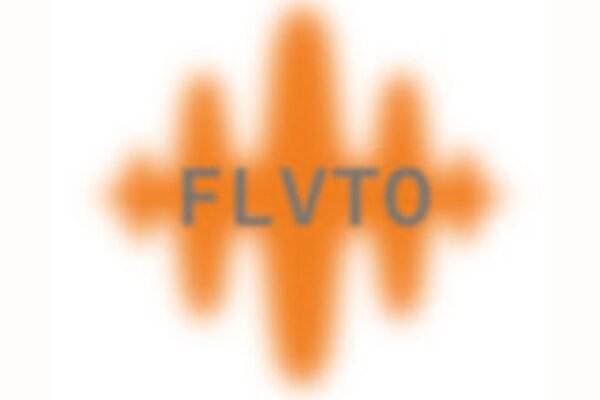 flvto