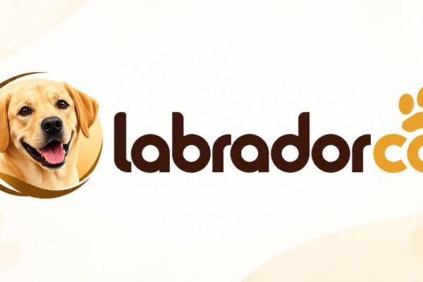 Labradorca