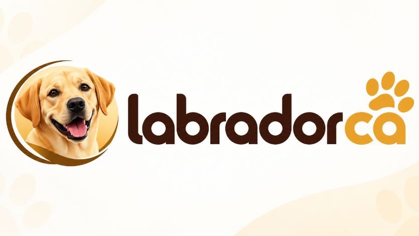 Labradorca